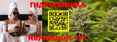 крисы Кандалакша