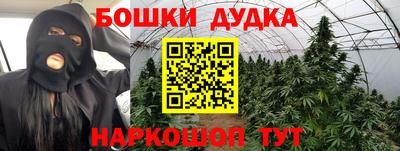 крисы Кандалакша