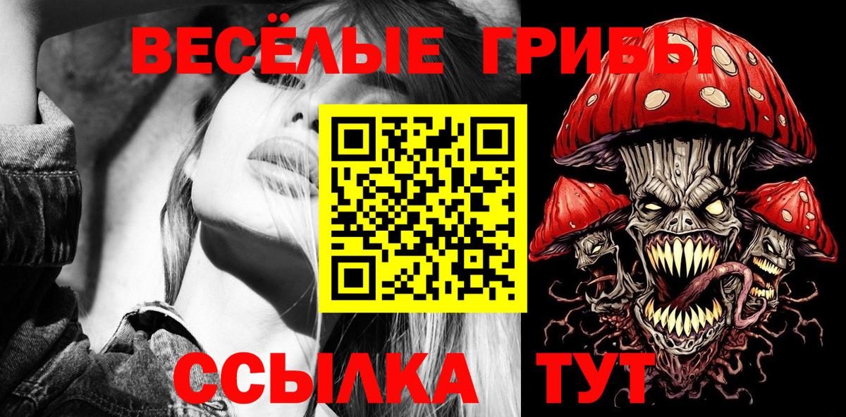 Псилоцибиновые грибы мухоморы  наркошоп  Кудымкар  Вход с VPN 