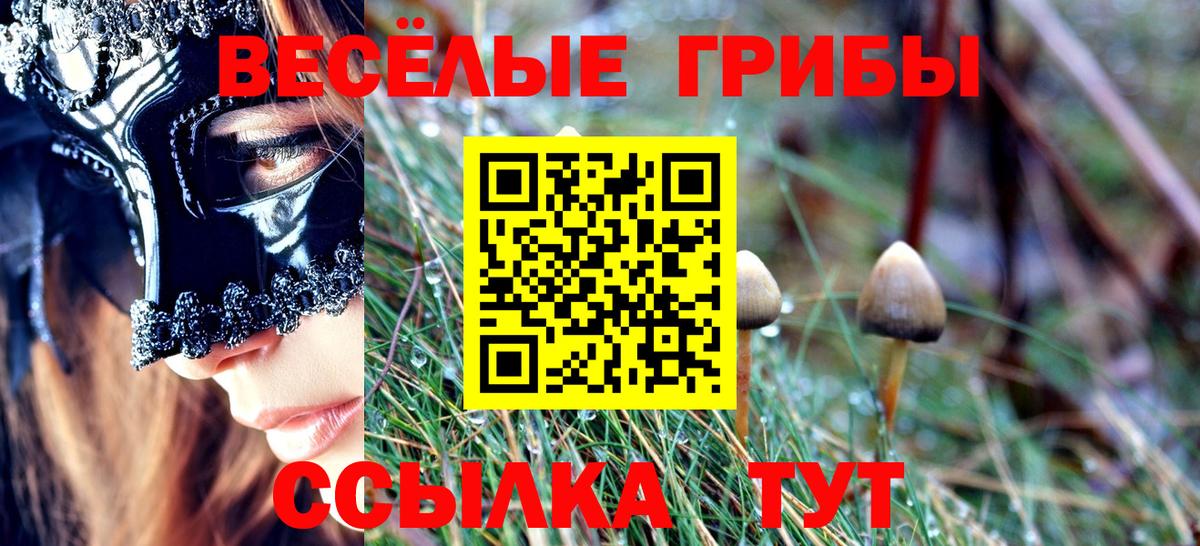Псилоцибиновые грибы мицелий Кудымкар